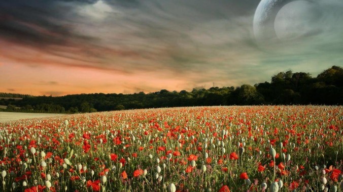 为什么 Windows 的兼容性这么强大，到底用了什么技术？